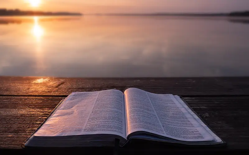 The Bible Plan